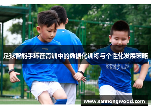 足球智能手环在青训中的数据化训练与个性化发展策略
